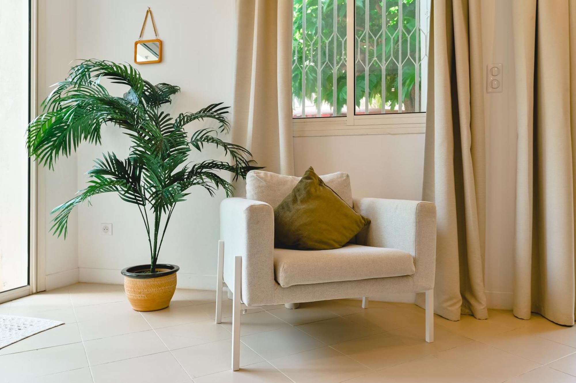 Charmant Appartement - Jardinet Prive - 5 Minutes Des Plages Sanguinaires - Ajaccio Аяччо Экстерьер фото