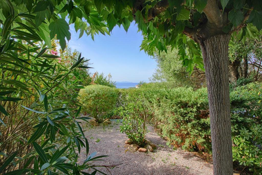 Charmant Appartement - Jardinet Prive - 5 Minutes Des Plages Sanguinaires - Ajaccio Аяччо Экстерьер фото